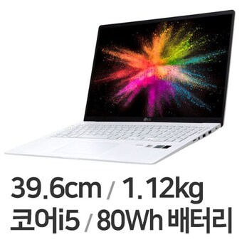 LG전자 2021 그램15 15ZB95N-GP50ML
