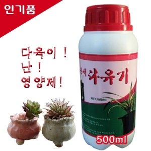 식물약국 다유기500 다육식물영양제/뿌리발근제/다육이/영비원