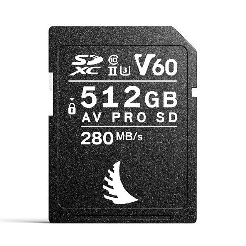 엔젤버드 SD AV PRO MK2 V60 (512GB)