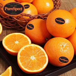 퓨어스펙 블랙라벨 오렌지 중소과 40과 6.4kg