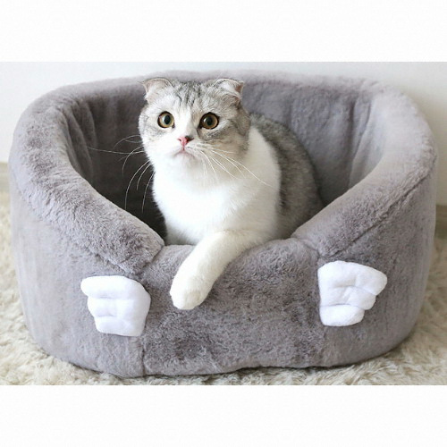 아페토 펫 카시트 슈가윙 그레이 SL (SL)이미지입니다. 누르면 해당 게시물로 새창이동합니다.