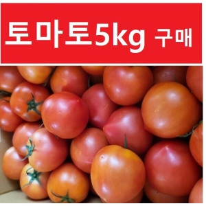 정품 토마토 5kg