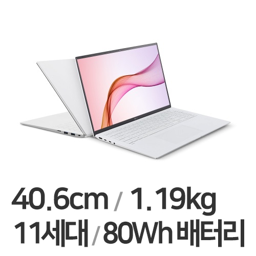 LG전자 2021 그램16 16ZD90P-GX50K WIN10 (SSD 4TB + SSD 256GB)