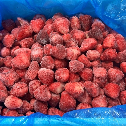 ������ �õ� ȫ�� ���� 10kg ��ũ