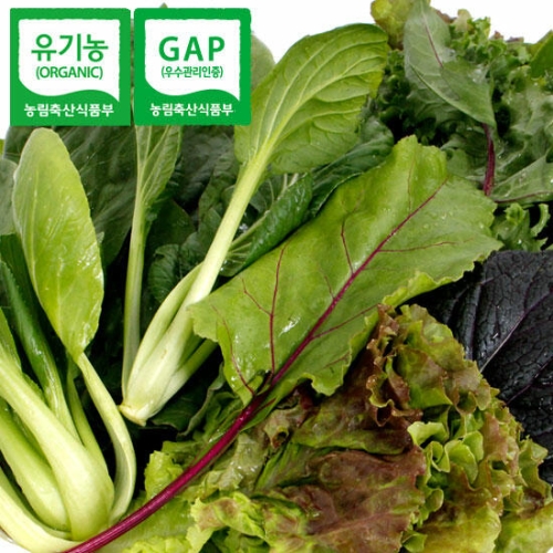 초록내음 GAP인증 유기농 쌈채소 1kg_이미지