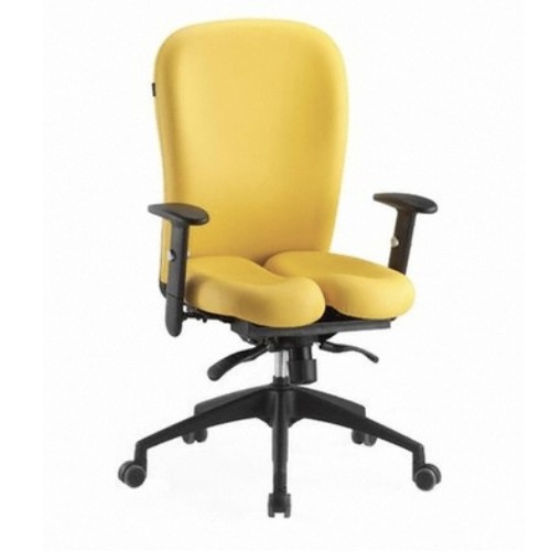 펠비스체어 P6000