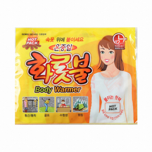 TPG 온종일 화롯불 파스형 40g (1개)_이미지