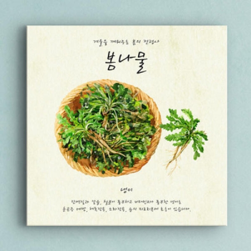 꾸밈 cy966-봄나물노프레임_이미지