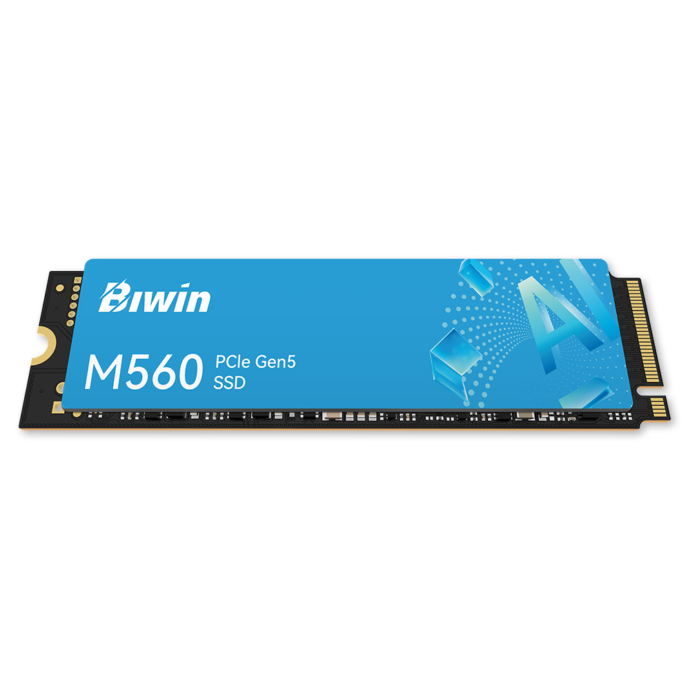 BIWIN M560 M.2 NVMe (1TB)_이미지