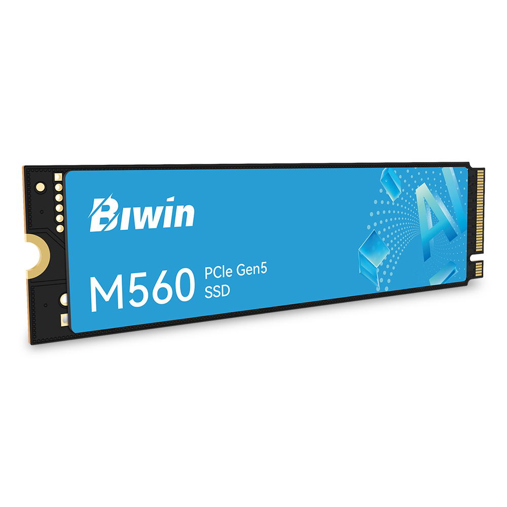 BIWIN M560 M.2 NVMe (1TB)_이미지