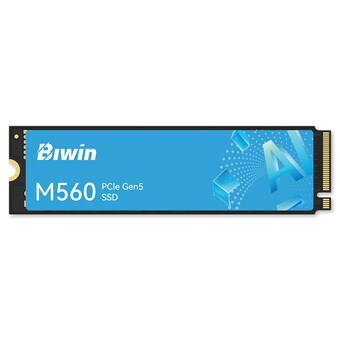 BIWIN M560 M.2 NVMe