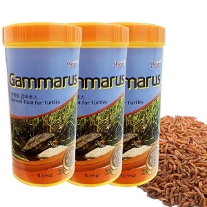 핑퐁 K PET 감마루스 1000ml 3개/거북이/파충류 사료/ 감마루스/건조새우/거북이먹이/파충류먹이/거북이사료_이미지