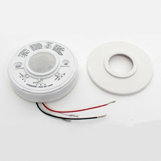 �������� ���۰��� ������ �������