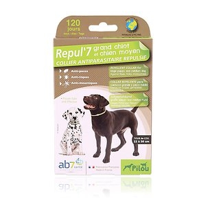 Pilou 네츄럴 해충방지 목걸이 반려견이미지입니다. 누르면 해당 게시물로 새창이동합니다.