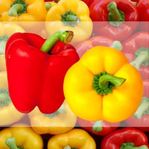 포미식탁 피망 노란 빨간 맛최고 못난이 파프리카 4kg (1개)_이미지
