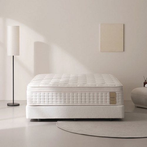 �������� FO-M01 ���� ���Ͻ����� �ʷο�ž ��Ʈ���� S