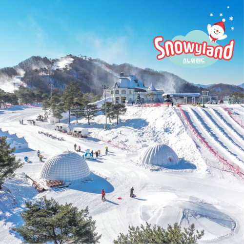 대명리조트 비발디파크 24/25 스노위랜드 종일권