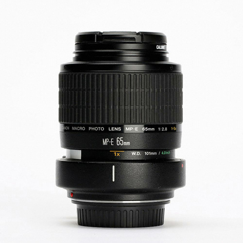 ĳ�� MP-E 65mm F2.8 1-5x MACRO Photo