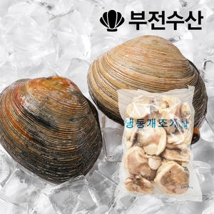 부전수산 냉동 손질 신선한 개조개살 대합살 800g 개조개 대합조개 백합 육수재료 해장국재료 개조개미역국 조개탕 조개구이