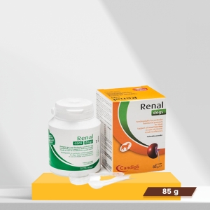 레날 독스 신장영양제 85g