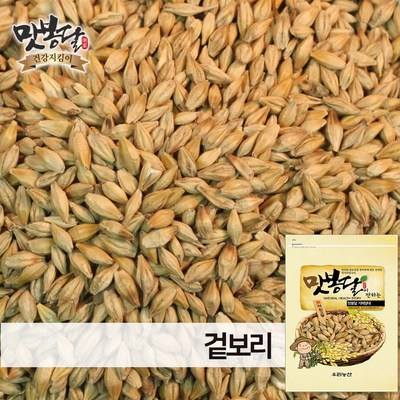 우리농산 맛봉달 겉보리 통보리 국내산 (2kg,1개)
