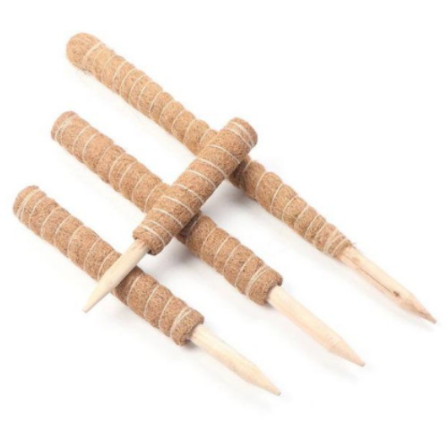 에코벨 홈가드닝 야자수태봉 (70cm)_이미지