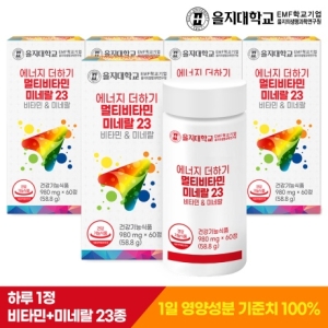 비엘헬스케어 을지대학교 에너지 더하기 멀티비타민미네랄23 60정 (5개)