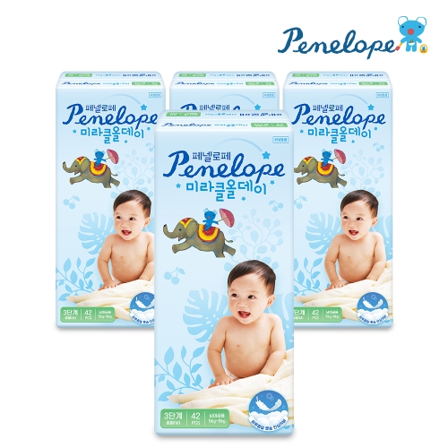 2025 뉴 미라클 올데이 밴드형 3단계-공용