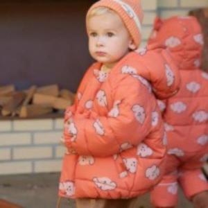 ���Ƿ���F&C ���Ƿ��� HC11 �۱��������� HY7531P5 S23292543