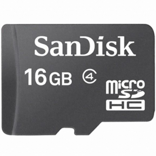 Sandisk micro SD 2010