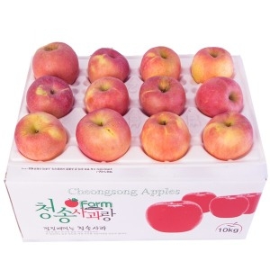 고당도 아삭 청송사과 대과 기스과 9kg