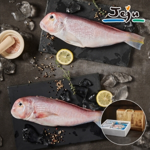 제주 옥돔 프리미엄 선물 세트1kg 특대 3마리 +고급선물가방