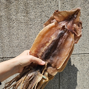 동명상회 동해안 마른 오징어 5미 375g 건오징어_이미지