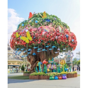 ��ǰ �� �̹���