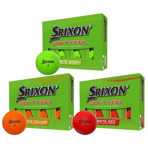 ���� ������ 2023 ����Ʈ �� �����Ʈ