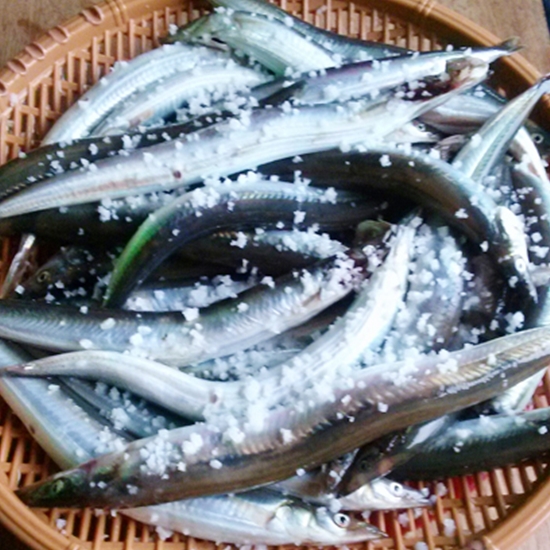 속초 생물 양미리 (100마리)