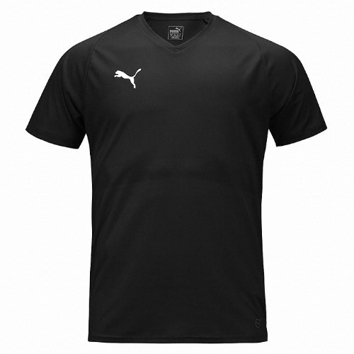 Ǫ�� ���� �ھ� ���� 703509