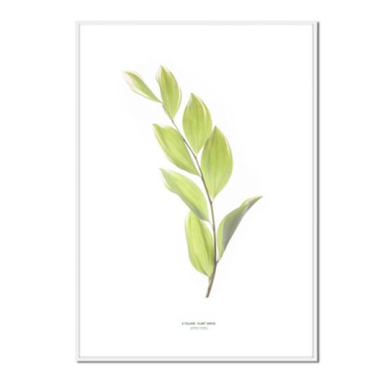 �޾�Ʈ ������������ PICF-375 42x60cm