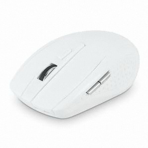 ���̵���Ÿ�ڸ��� DDZONE DM-W100
