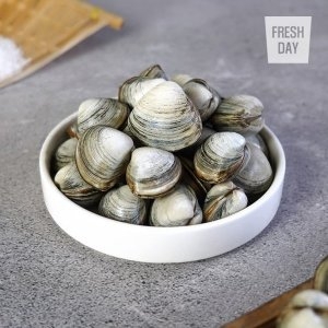 단골농장 서해안 고창 갯벌 해감된 동죽 조개 물총조개 2kg