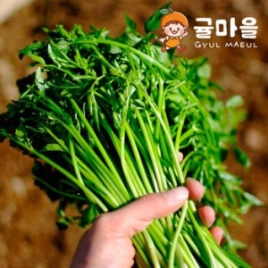 귤마을 향긋한 손질 세척 물미나리 500g