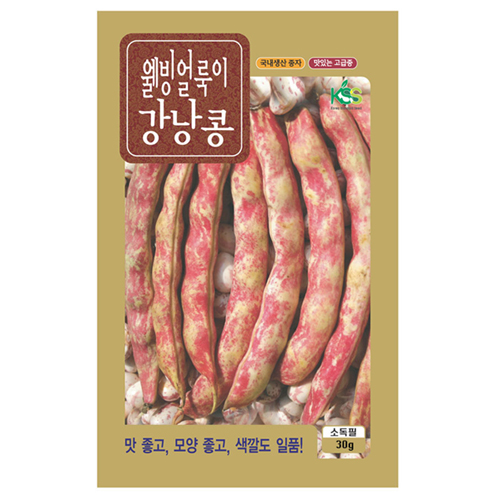 KS���� ����̰�����