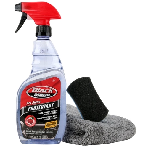 레인엑스 블랙매직 프로 샤인 프로텍턴트 실내 세정 관리 키트 SET