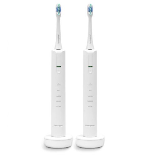 웨이블 덴탈퓨어 DP-ET100 (2개)