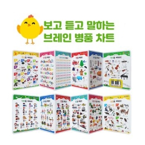 ������ �±ؿ��� 64GB (RTT-4000BD) + �극�� ��ǳ��Ʈ