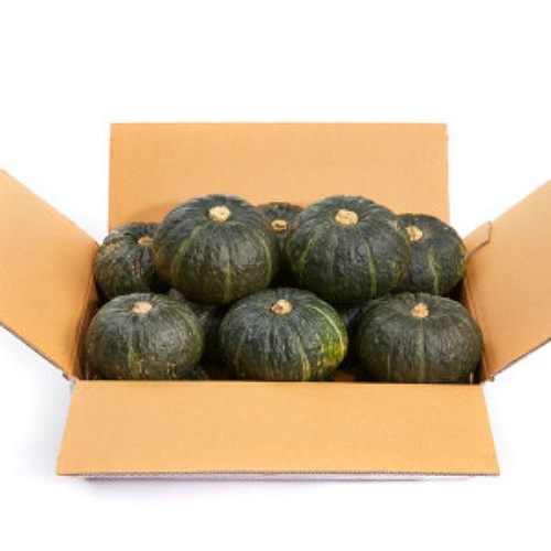 제주아선농원 미니 밤호박 보우짱 8kg (1개)