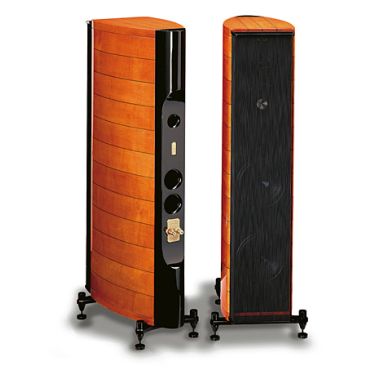 소너스파베르 AMATI HOMAGE_이미지