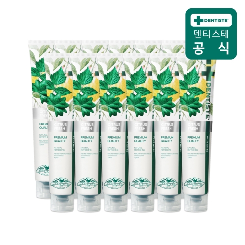 DKSH 덴티스테 시트러스 후레쉬 치약 200g (12개)