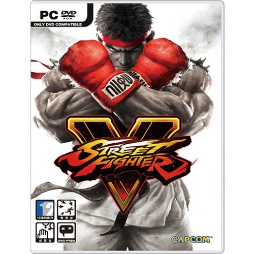 스트리트 파이터 V PC 스팀코드