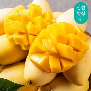 [�Ҹ�] ���� �������� �±����� Ư��� 8-10�� 4kg����